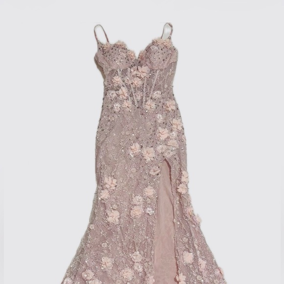 Portia and Scarlett Dresses & Skirts - Portia and Scarlett Pink Floral Lace Gown